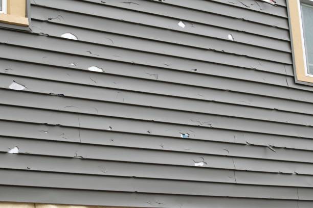 Best Siding Removal and Disposal  in Unalaska, AK